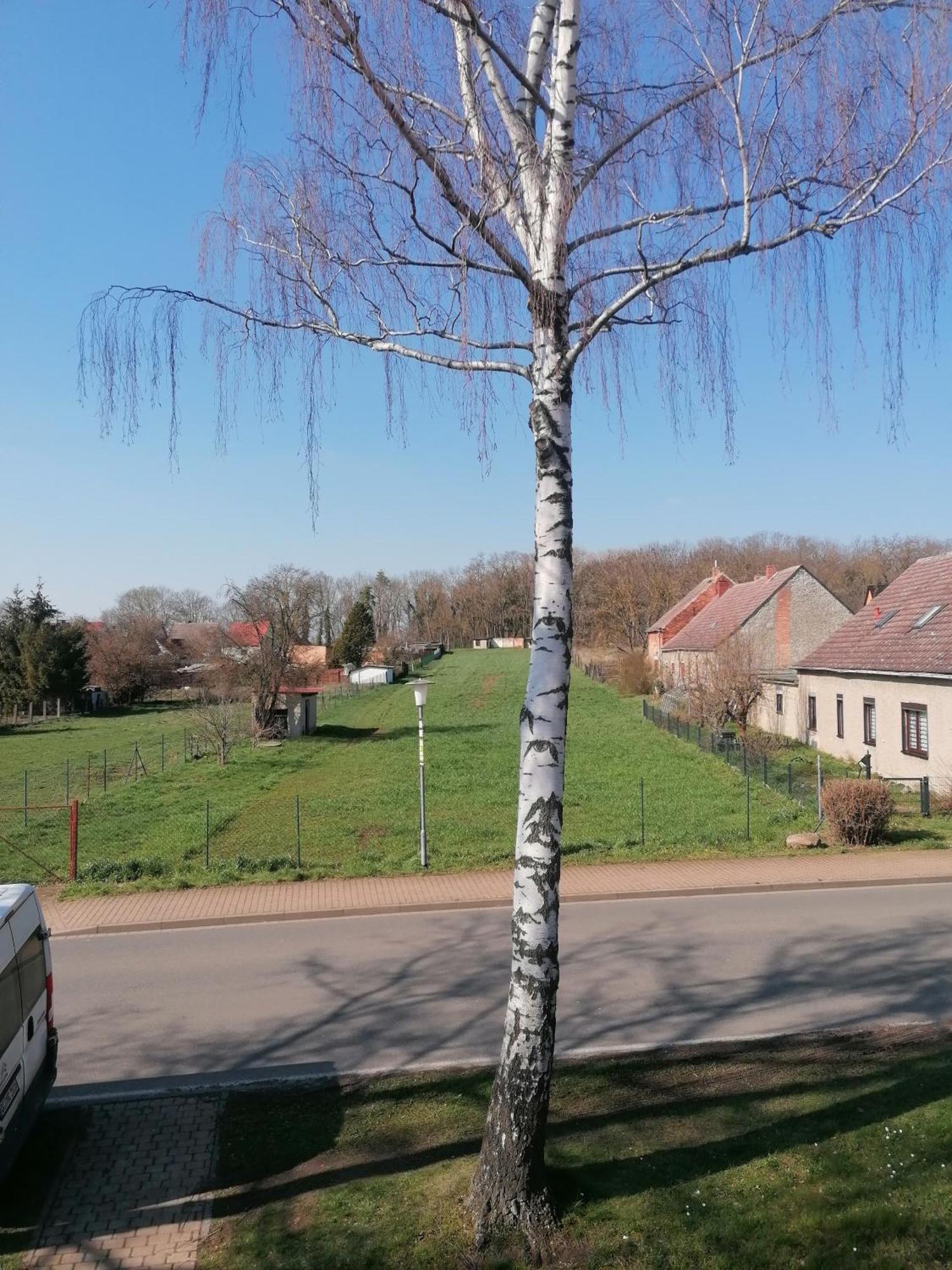 Ferienwohnung IV Sarrebriese Wanzleben-Borde Экстерьер фото
